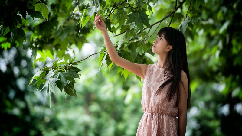 原神魈怎么配队 魈配队阵容推荐